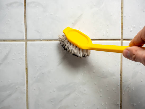 Best Attic Mold Removal  in Hazlehurst, MS