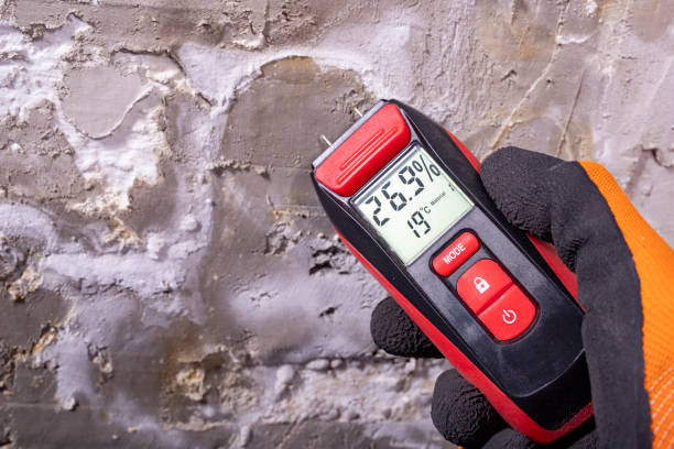 Best Black Mold Removal  in Hazlehurst, MS